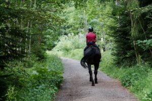 Rider on horse